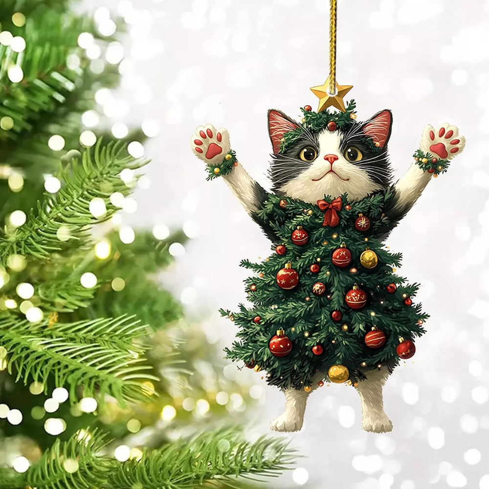 MiauMagic – Die Katze als Weihnachtszauber