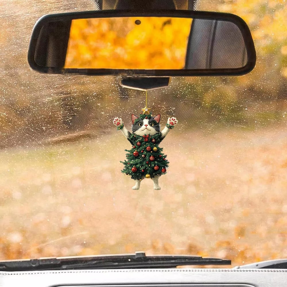 MiauMagic – Die Katze als Weihnachtszauber