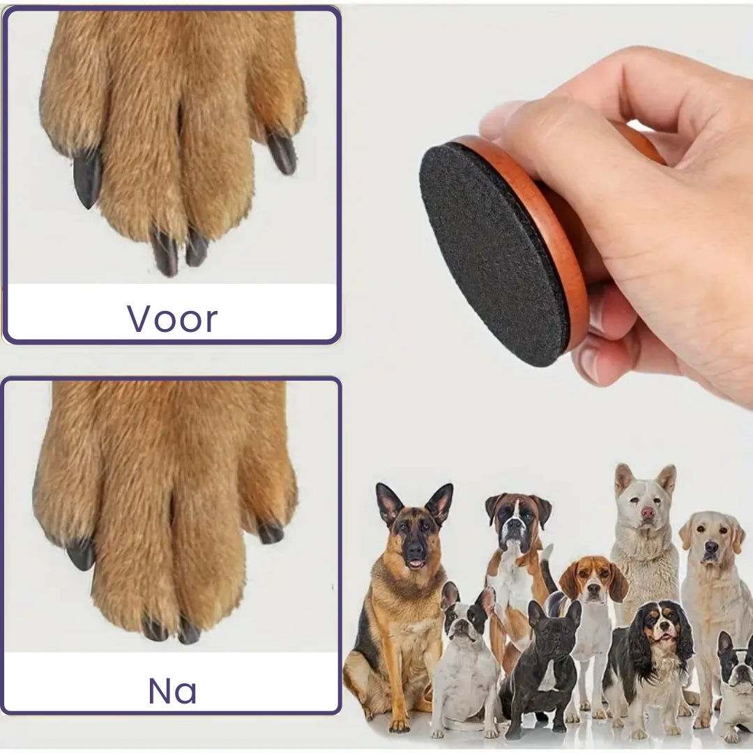 1+1 GRATIS | PawEase – Gesunde Krallen ohne Stress für deinen Hund