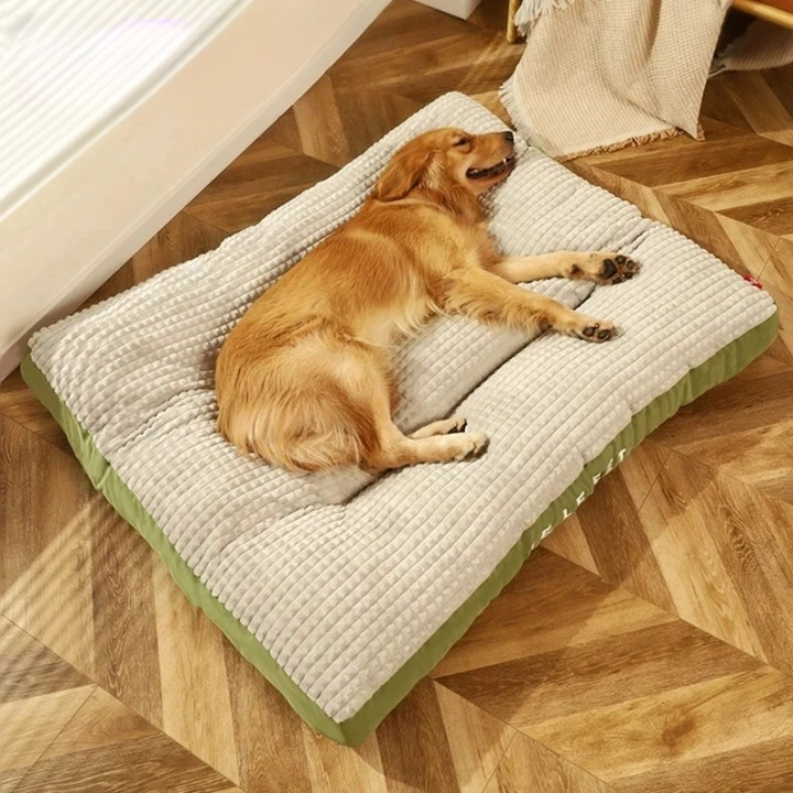 TraumPfote Bett – Tiefschlaf & Lebensfreude für Ihren Hund