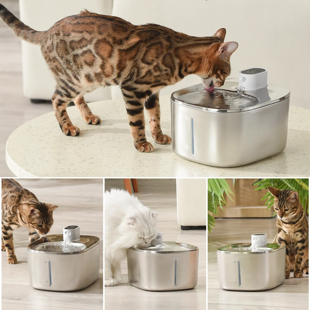 TrinkMiez – Der Brunnen, den deine Katze wirklich nutzt