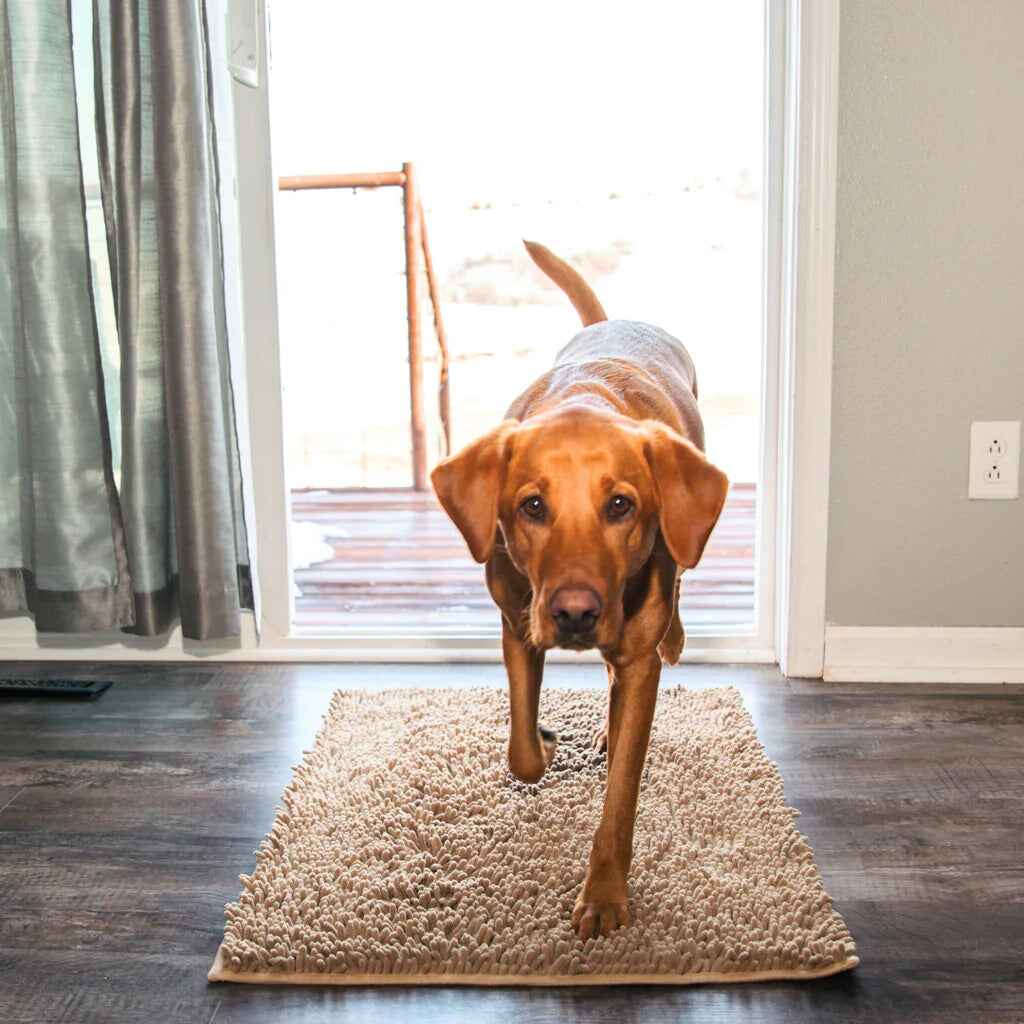 1+1 GRATIS | PawGuard Mat – Schluss mit schmutzigen Hundepfoten im Haus