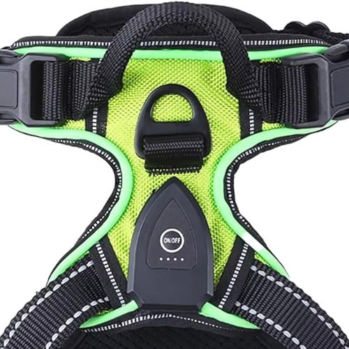 LumiPaws™ – LED-Hundegeschirr für mehr Sichtbarkeit bei Nacht