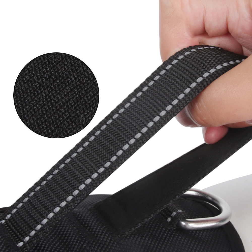 SafeWalk Pro – Voller Komfort & Kontrolle bei jedem Spaziergang