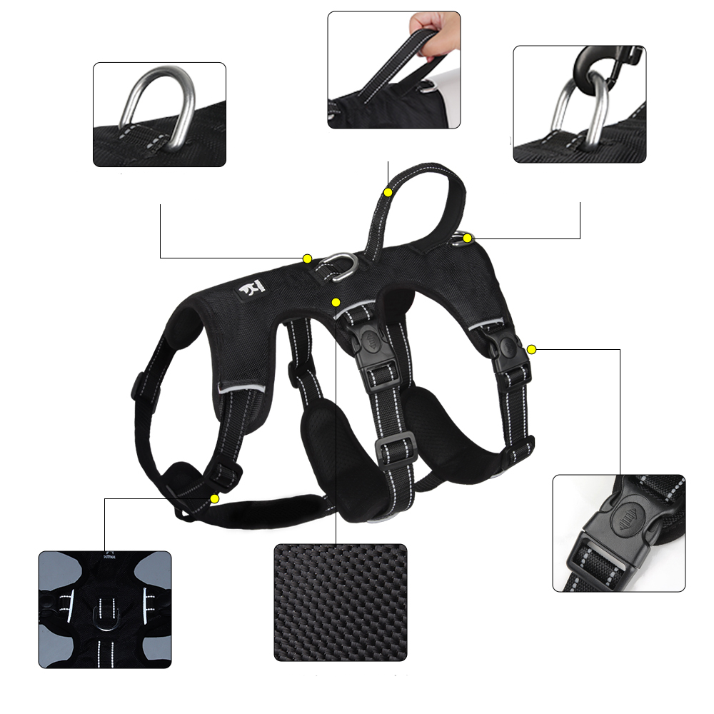 SafeWalk Pro – Voller Komfort & Kontrolle bei jedem Spaziergang