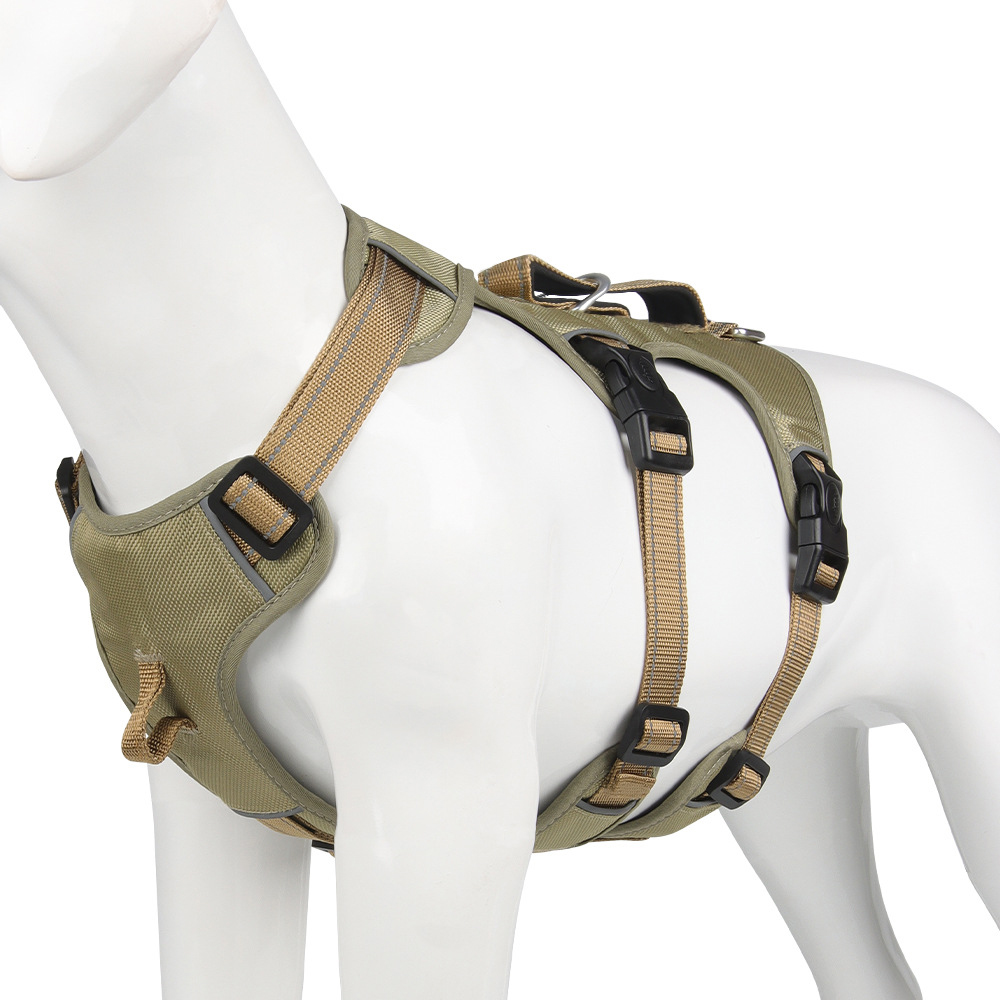 SafeWalk Pro – Voller Komfort & Kontrolle bei jedem Spaziergang