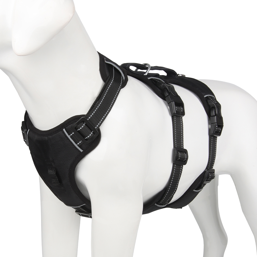 SafeWalk Pro – Voller Komfort & Kontrolle bei jedem Spaziergang