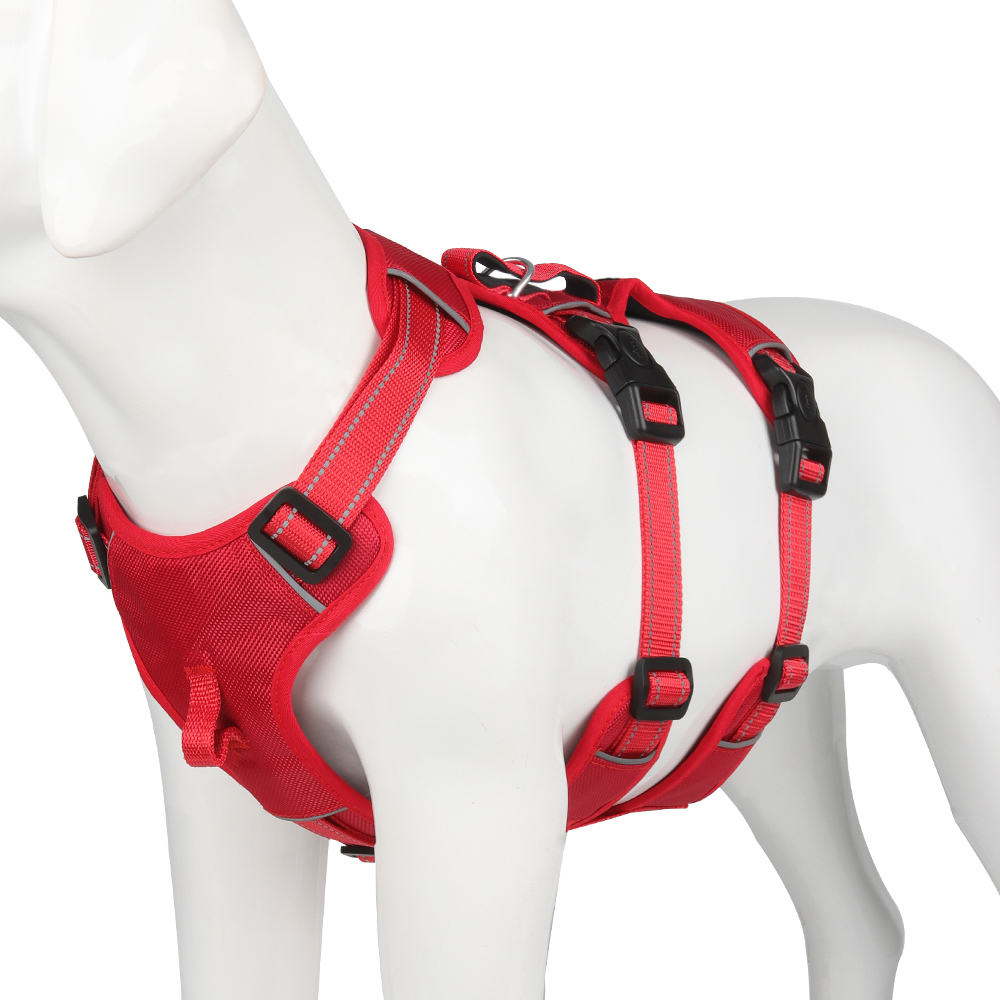 SafeWalk Pro – Voller Komfort & Kontrolle bei jedem Spaziergang