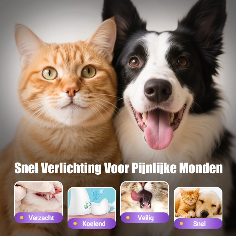 1+1 GRATIS | PetDentix – Schnelle Hilfe für schmerzfreie, gesunde Tierzähne