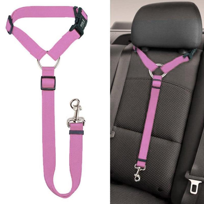 SafeRide™ – Sicheres Reisen für Hunde & Katzen