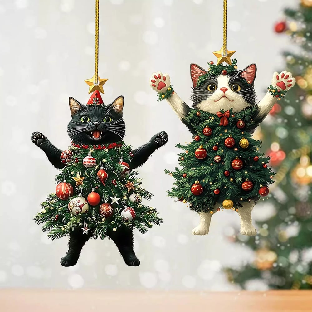 MiauMagic – Die Katze als Weihnachtszauber