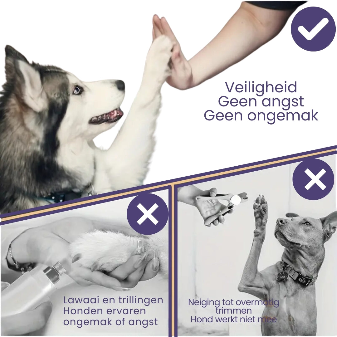 1+1 GRATIS | PawEase – Gesunde Krallen ohne Stress für deinen Hund