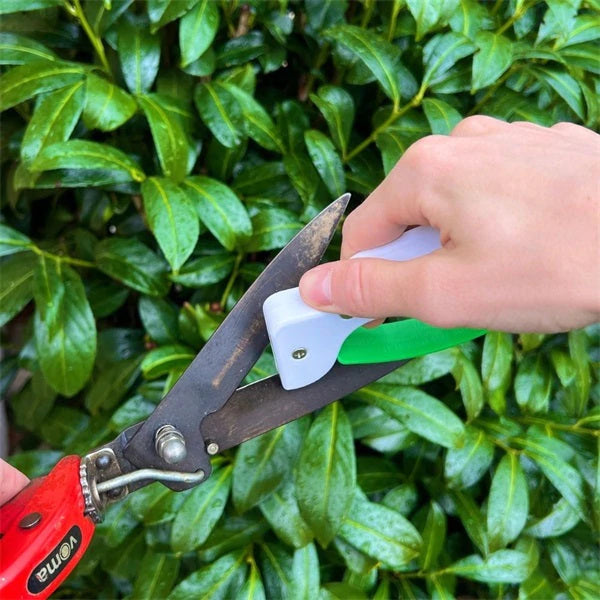 BladeBuddy Pro – Schärfe in Sekunden, jederzeit & überall