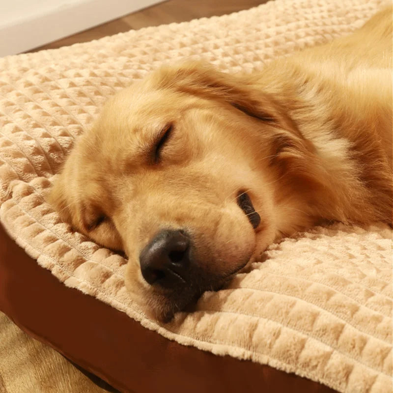 TraumPfote Bett – Tiefschlaf & Lebensfreude für Ihren Hund