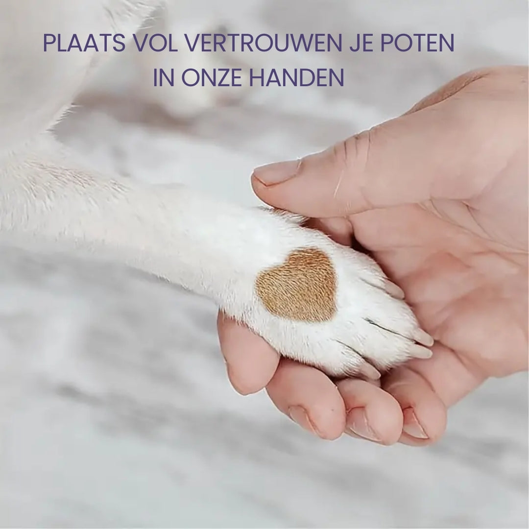 1+1 GRATIS | PawEase – Gesunde Krallen ohne Stress für deinen Hund