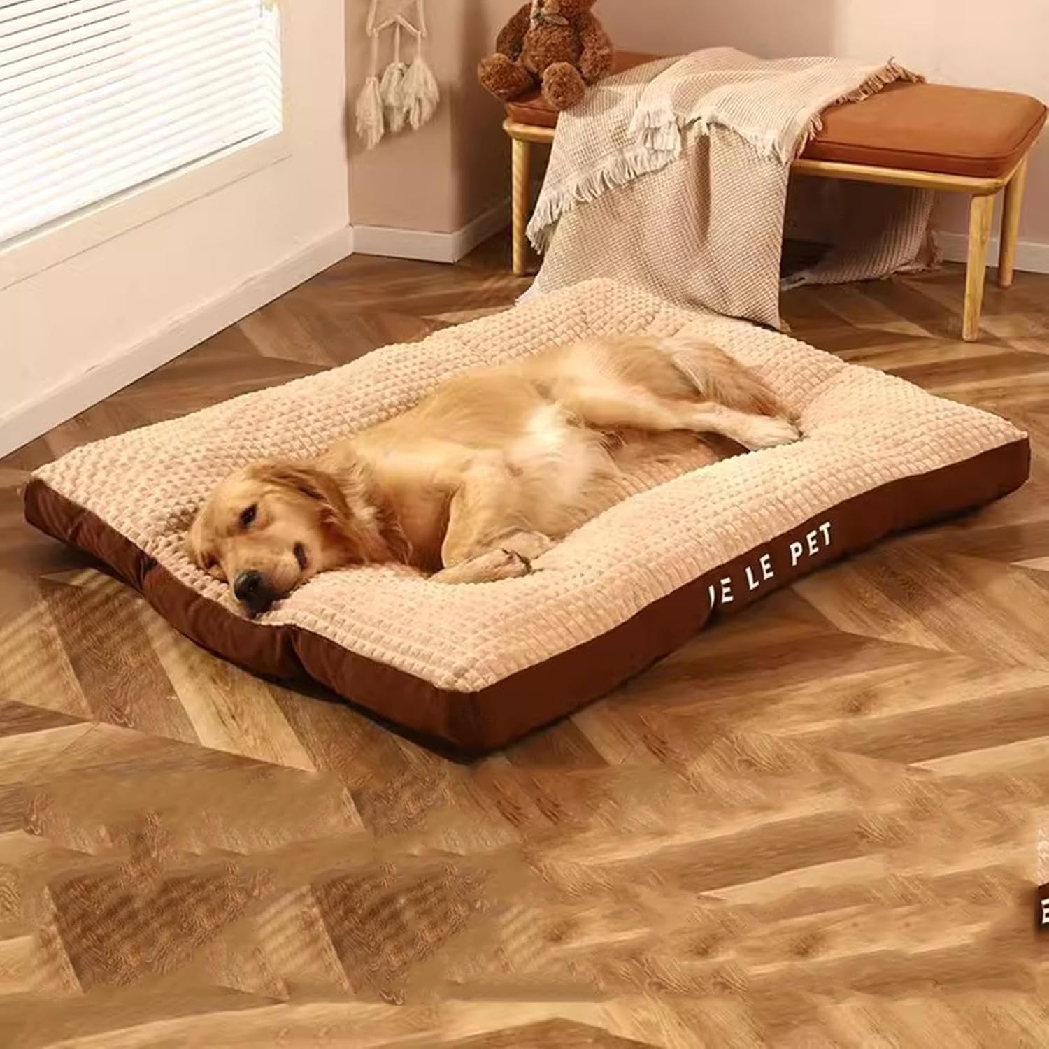 TraumPfote Bett – Tiefschlaf & Lebensfreude für Ihren Hund