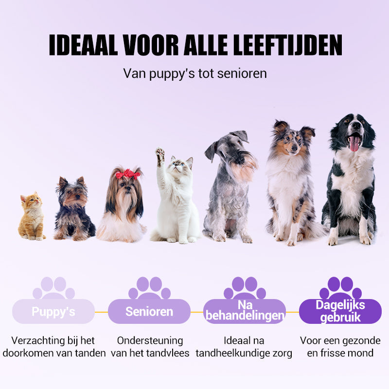 1+1 GRATIS | PetDentix – Schnelle Hilfe für schmerzfreie, gesunde Tierzähne