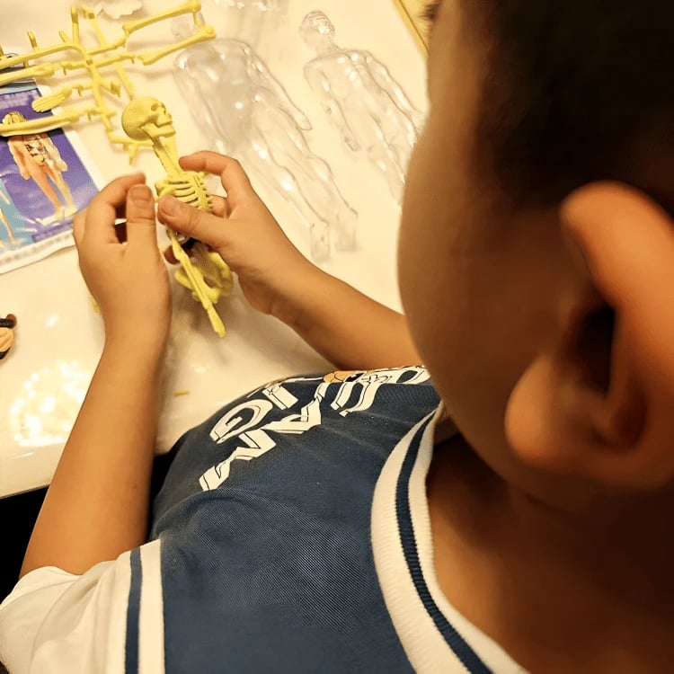 VitaLayer™ — Entfesseln Sie Ihre Kraft, den menschlichen Körper wirklich zu verstehen!