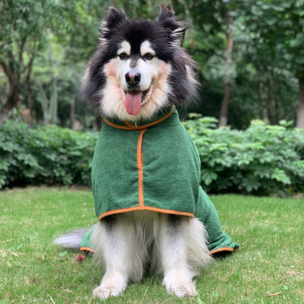 DryPup Coat – Nie wieder ein nasser Hund im Haus!