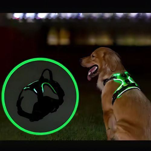LumiPaws™ – LED-Hundegeschirr für mehr Sichtbarkeit bei Nacht