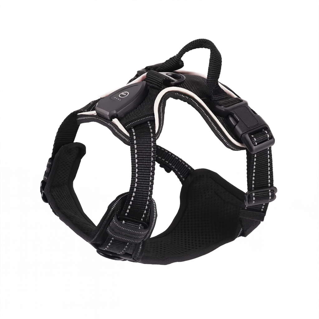 LumiPaws™ – LED-Hundegeschirr für mehr Sichtbarkeit bei Nacht