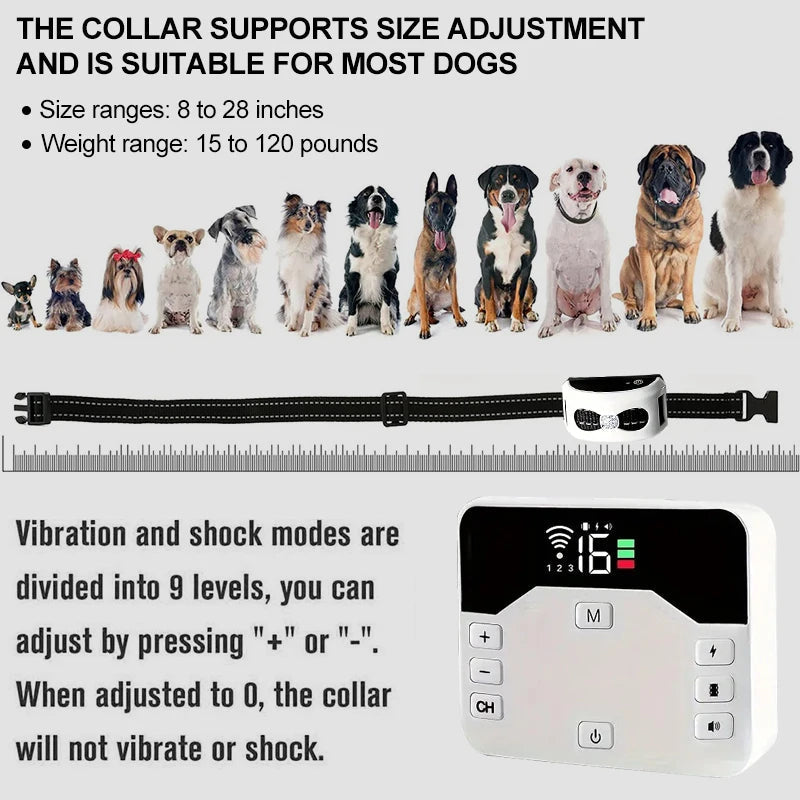 PetSafe Guard – Freiheit & Sicherheit für Ihren Hund