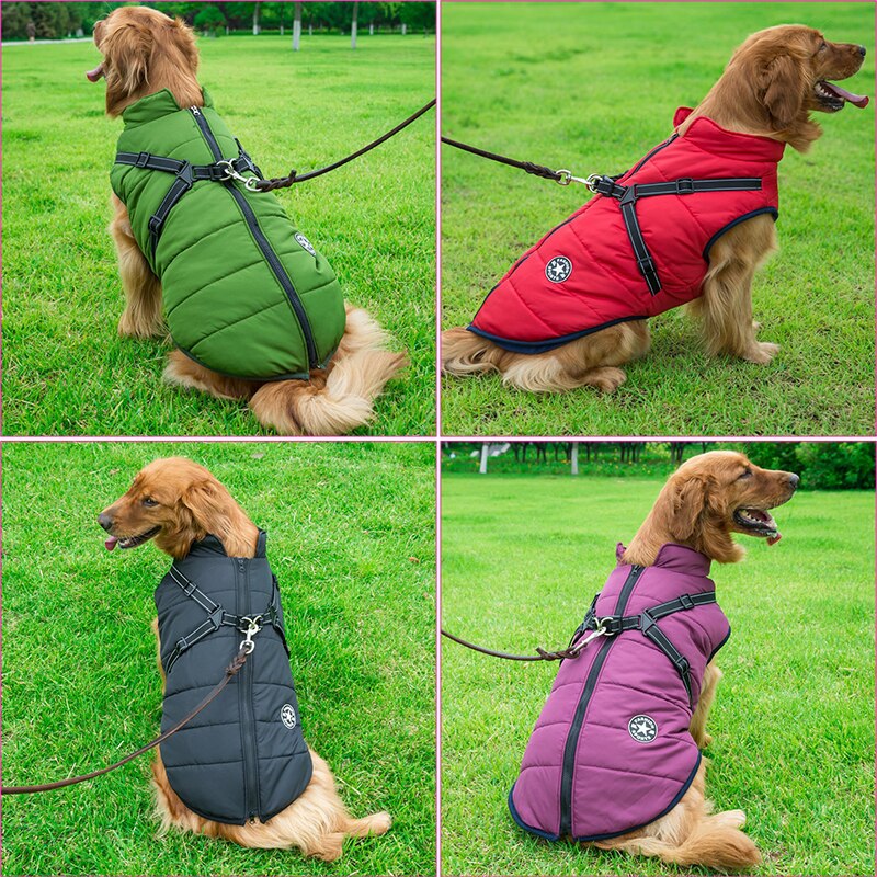 WarmPaws – Schützt deinen Hund vor Kälte & Nässe