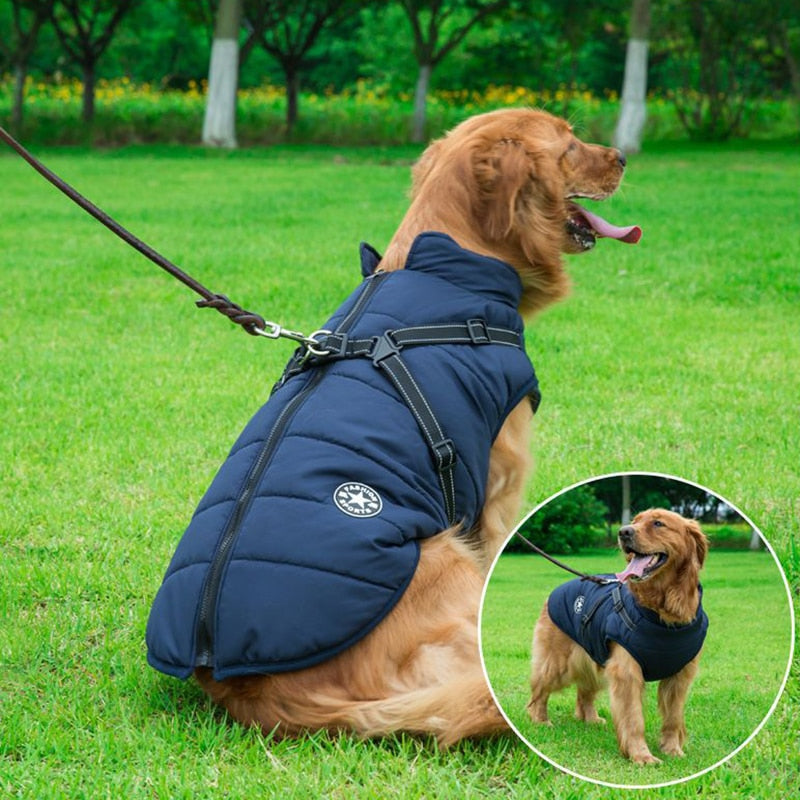 WarmPaws – Schützt deinen Hund vor Kälte & Nässe