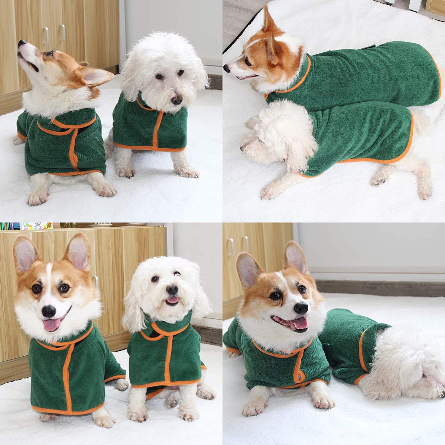 DryPup Coat – Nie wieder ein nasser Hund im Haus!