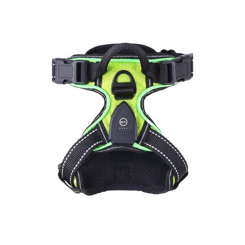 LumiPaws™ – LED-Hundegeschirr für mehr Sichtbarkeit bei Nacht