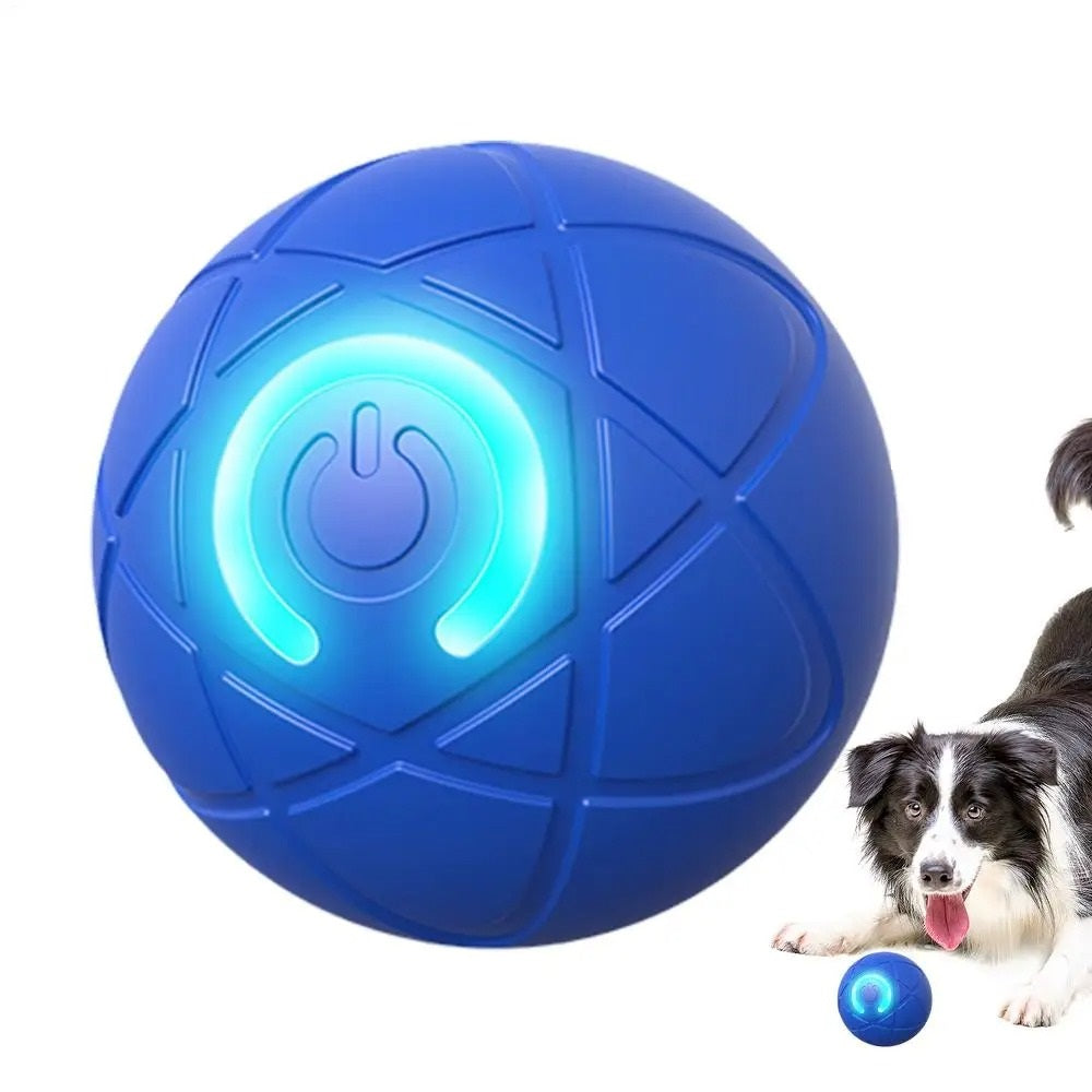 PetPlay Ball – Endloser Spaß für Hunde & Katzen!