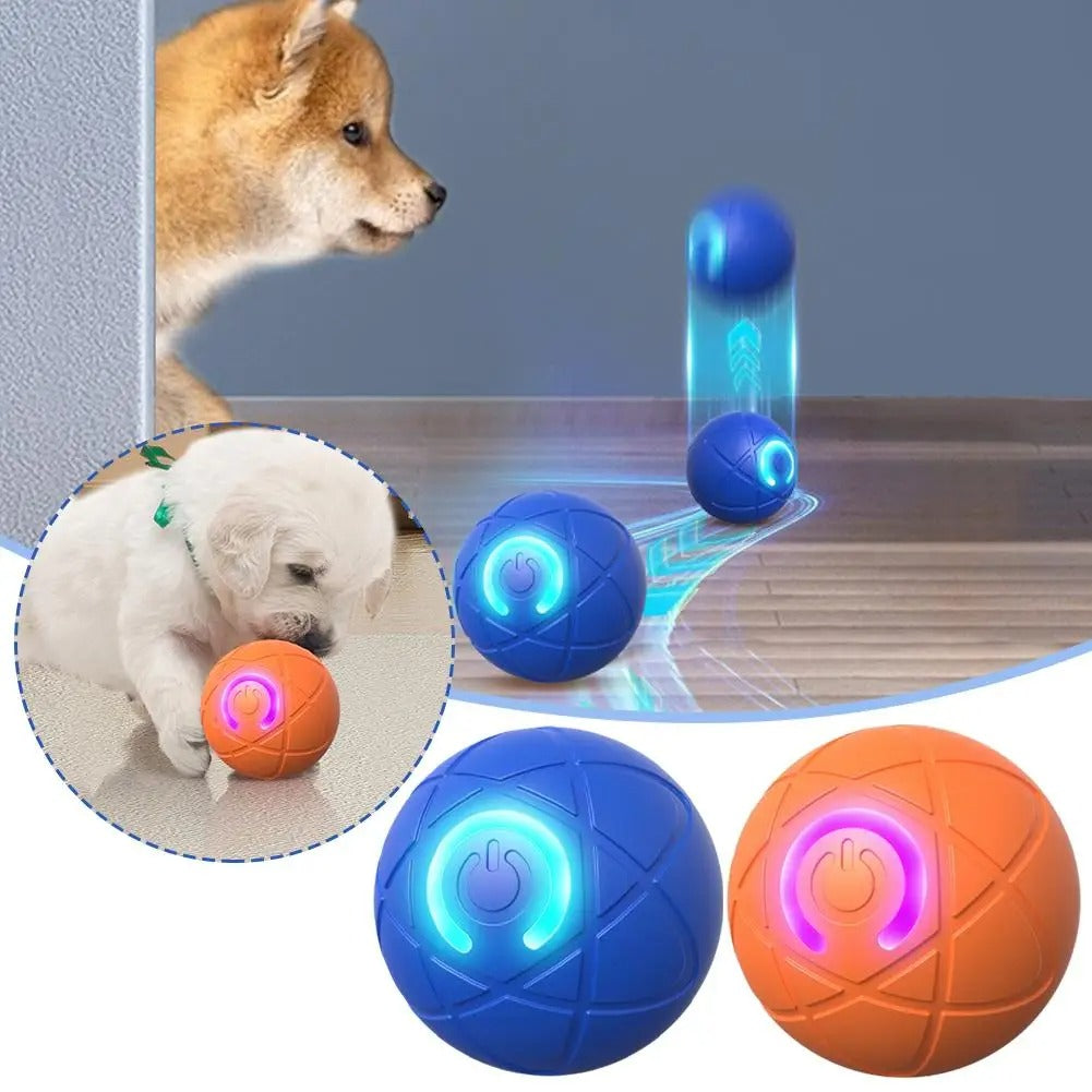 PetPlay Ball – Endloser Spaß für Hunde & Katzen!