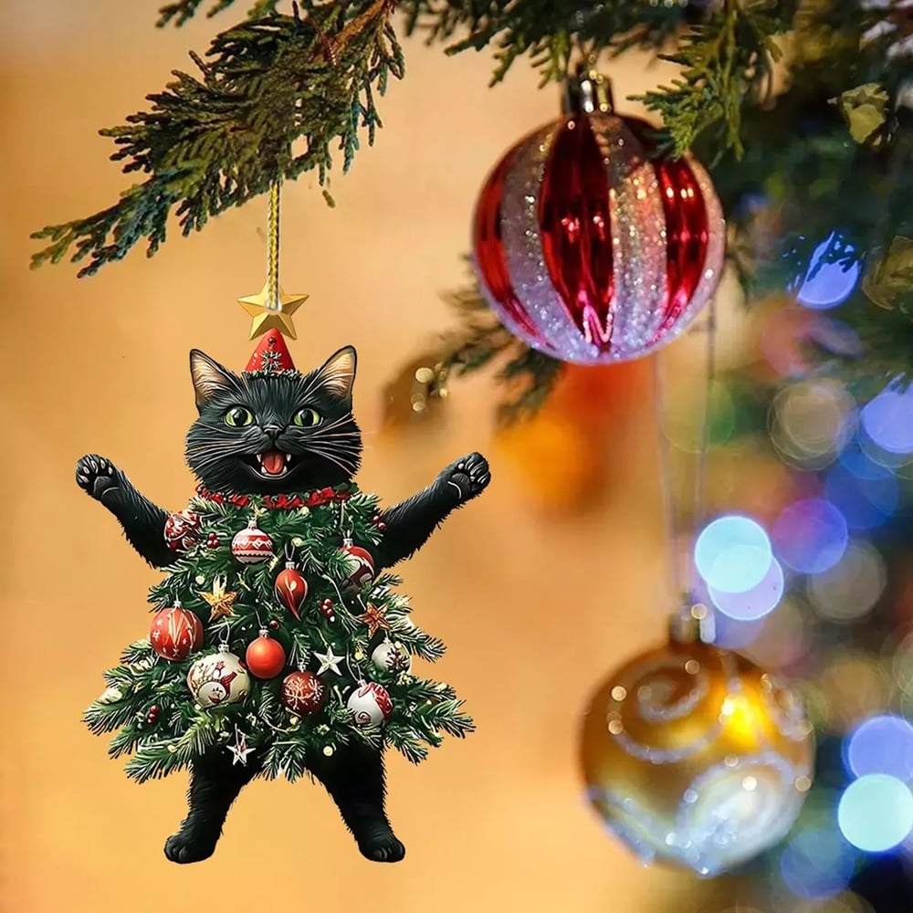 MiauMagic – Die Katze als Weihnachtszauber
