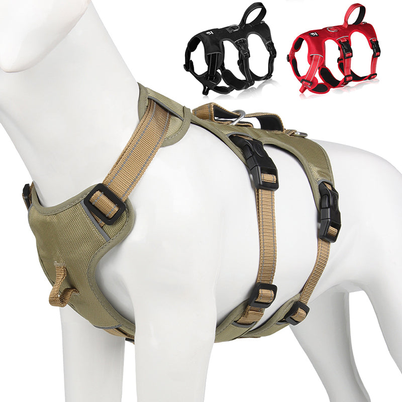 SafeWalk Pro – Voller Komfort & Kontrolle bei jedem Spaziergang