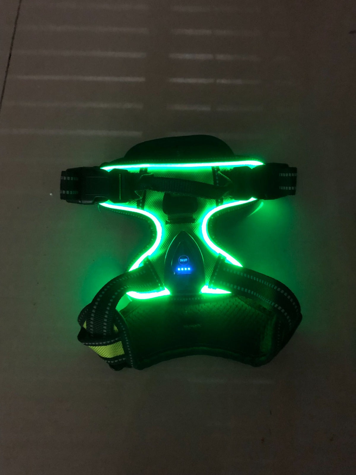 LumiPaws™ – LED-Hundegeschirr für mehr Sichtbarkeit bei Nacht