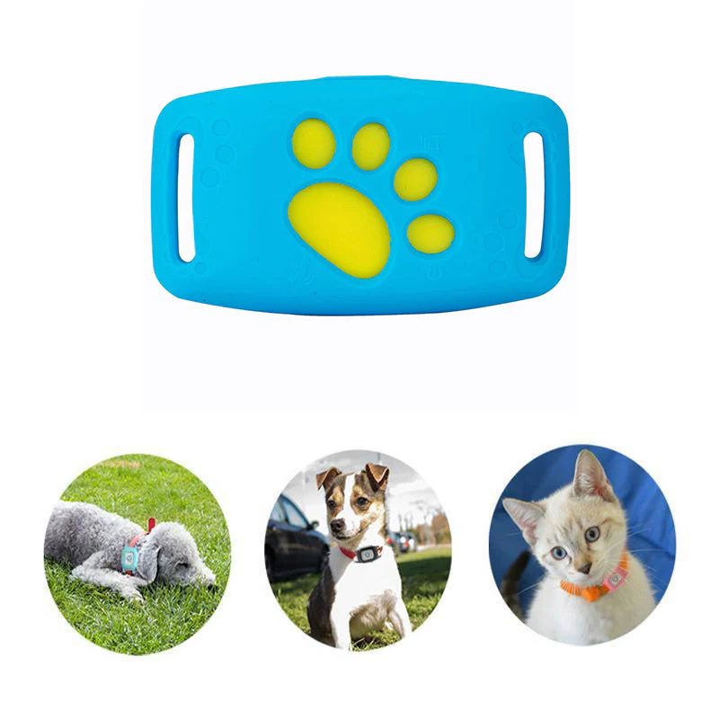 PetGuardian Pro – Nie wieder Angst, Ihre Katze zu verlieren