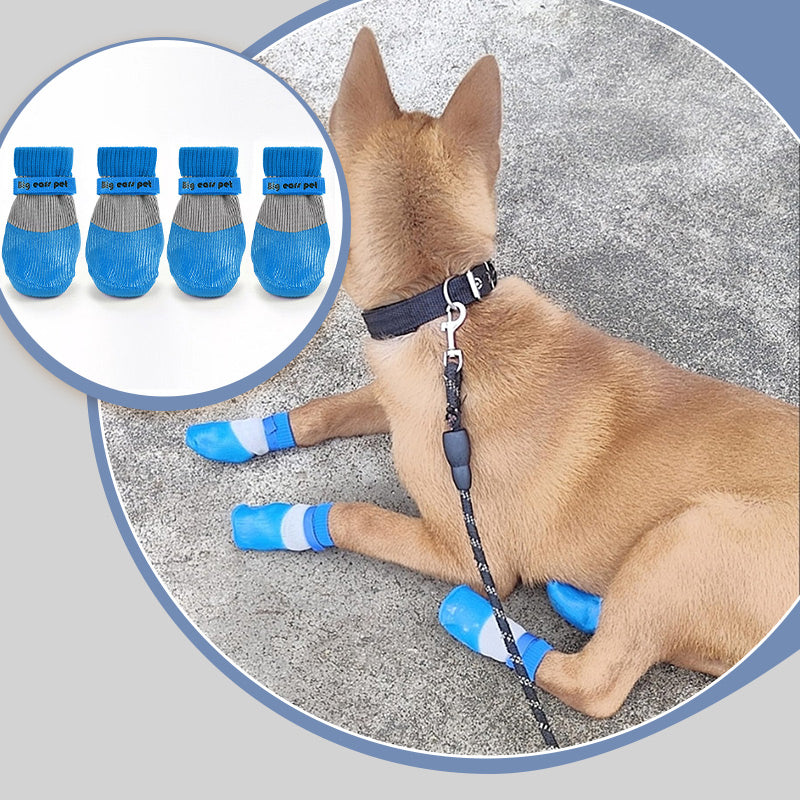 PawSafe Socks – Schutz & Style für glückliche Hunde