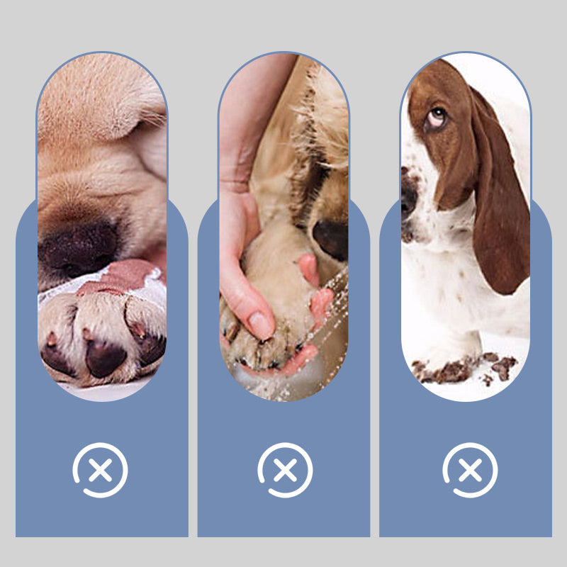 PawSafe Socks – Schutz & Style für glückliche Hunde