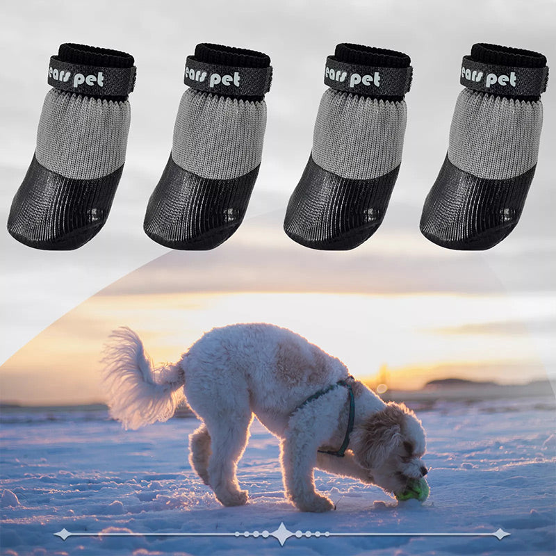 PawSafe Socks – Schutz & Style für glückliche Hunde