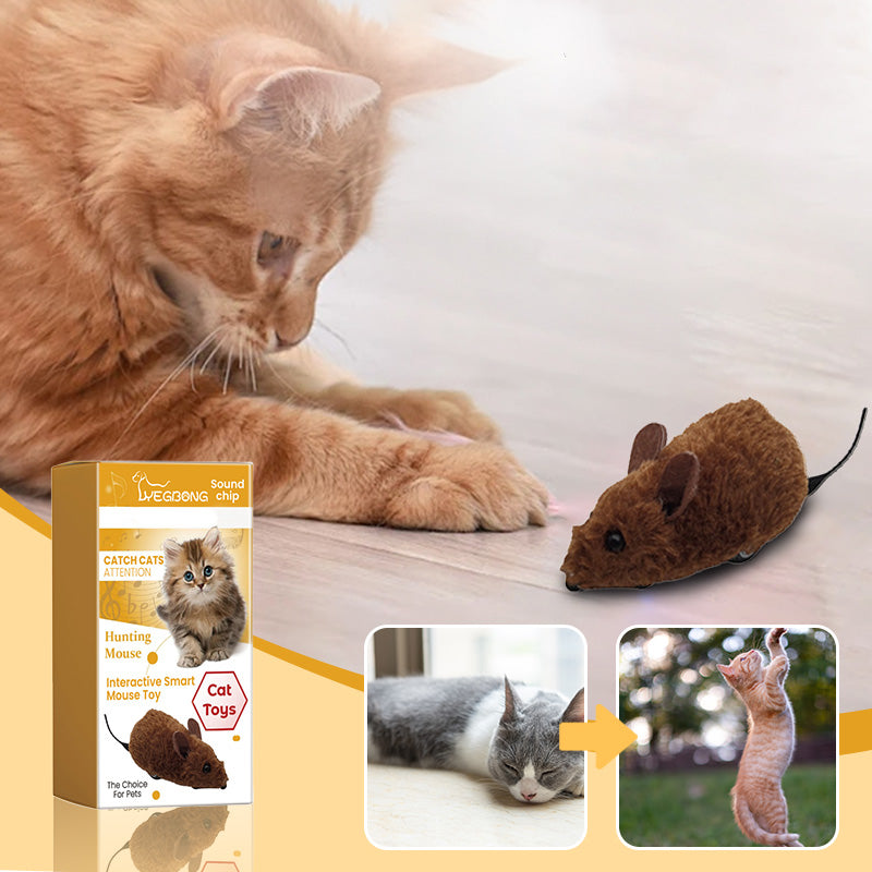 WildPaws – Endloser Spielspaß für Hunde & Katzen