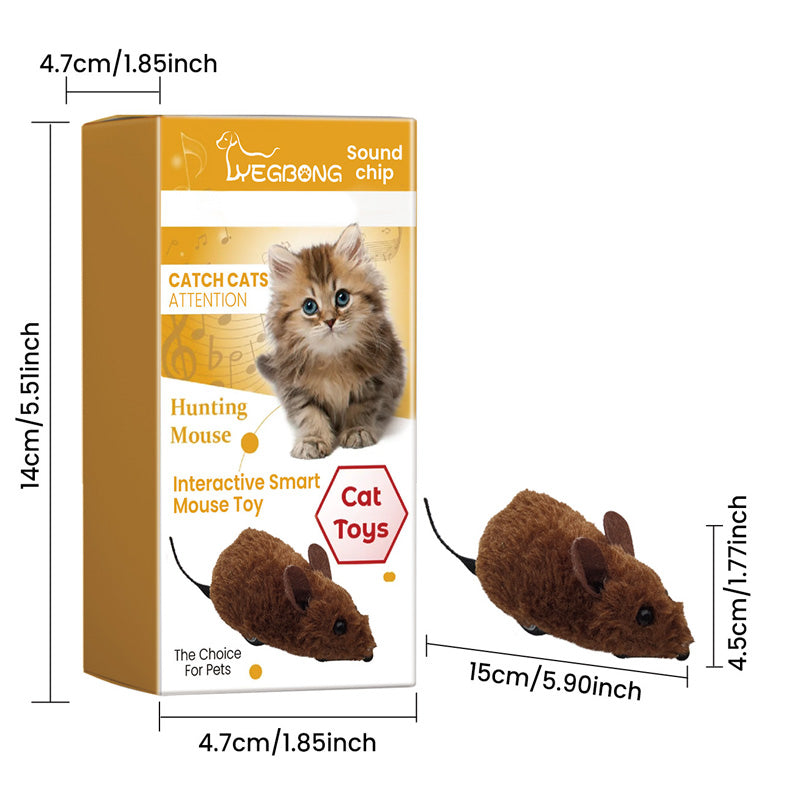 WildPaws – Endloser Spielspaß für Hunde & Katzen