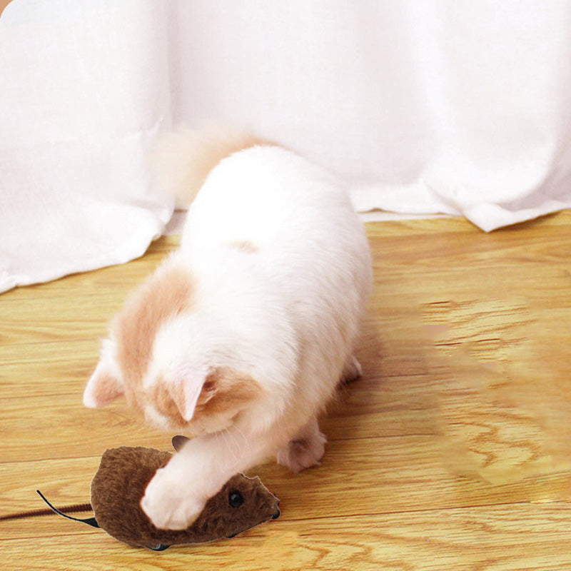 WildPaws – Endloser Spielspaß für Hunde & Katzen