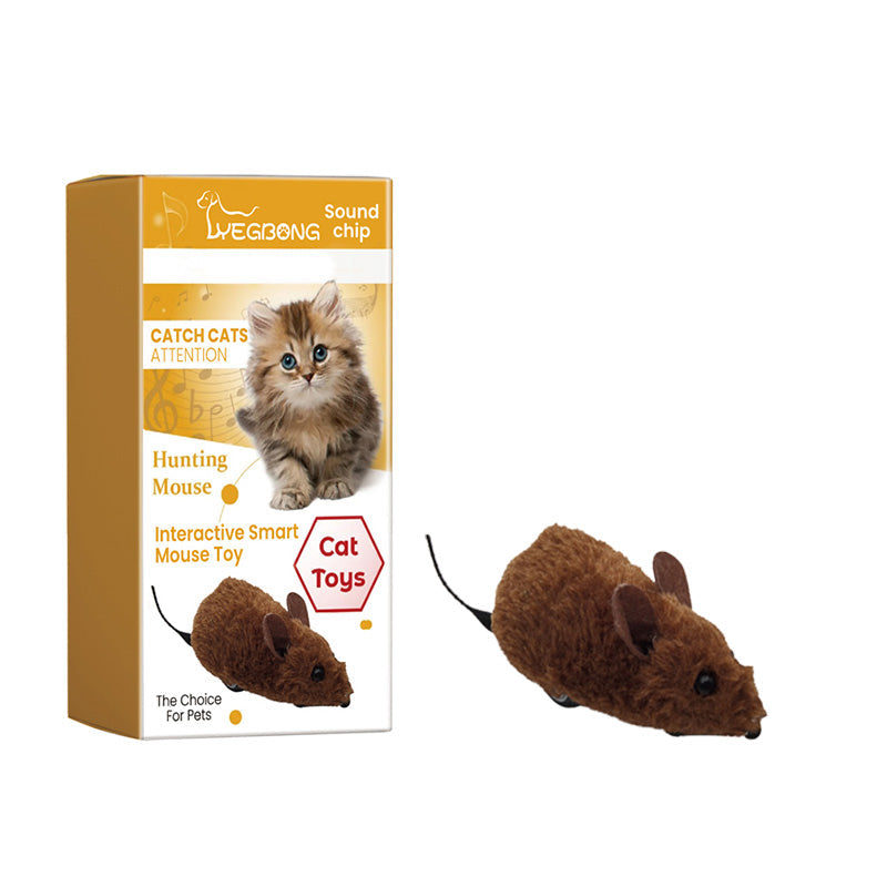 WildPaws – Endloser Spielspaß für Hunde & Katzen