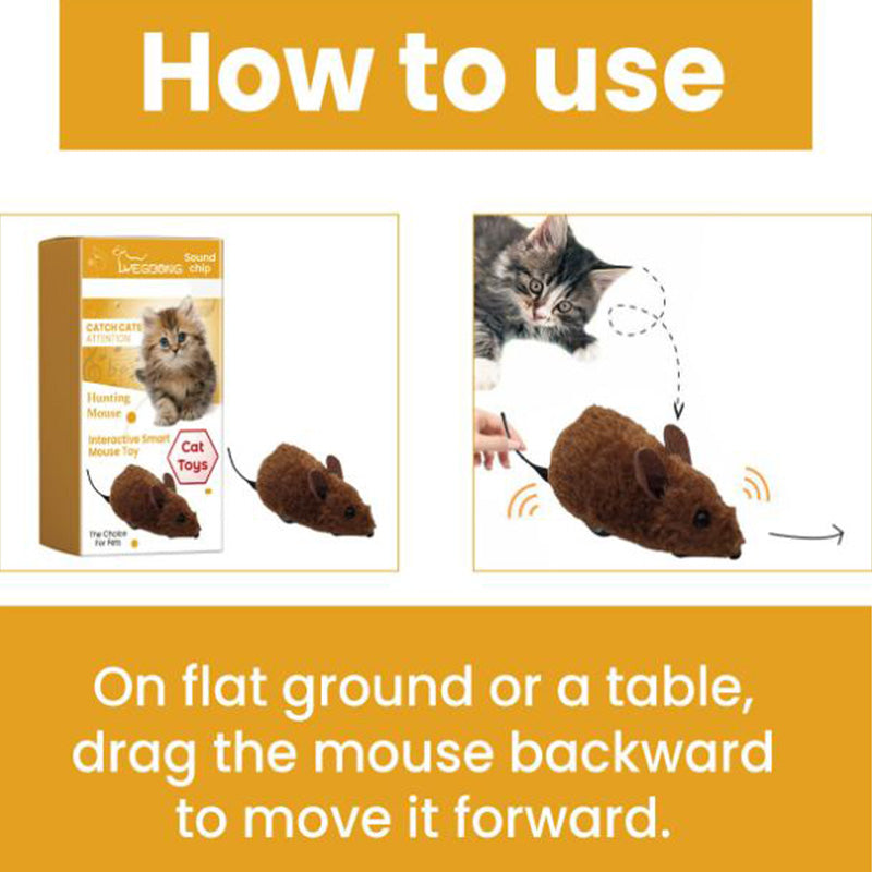 WildPaws – Endloser Spielspaß für Hunde & Katzen