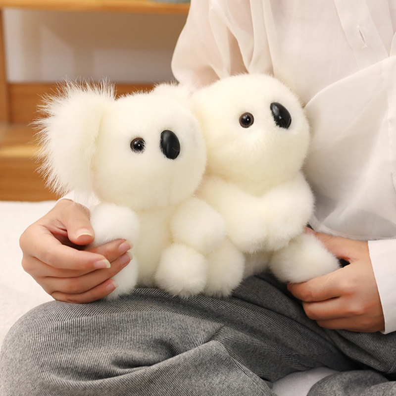 CuddleKoala – Dein neuer Freund zum Kuscheln