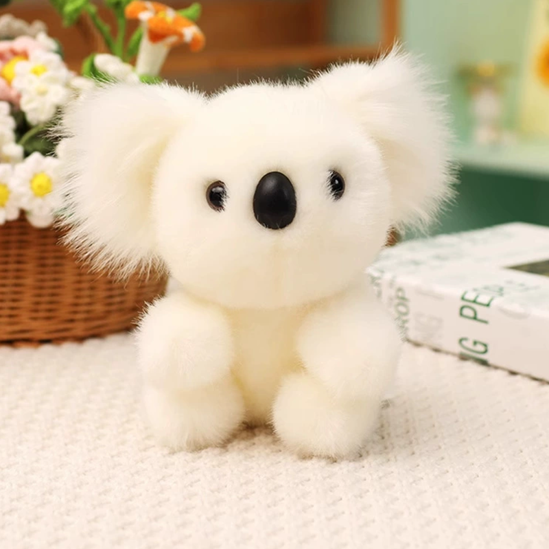 CuddleKoala – Dein neuer Freund zum Kuscheln